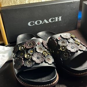 NWT Coach Slides Tea Rose Flower